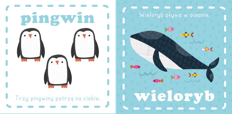 Wnętrze książki Przytulanka. Zoo z ilustracjami z ilustracjami pingwinów i wieloryba