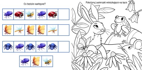 Wnętrze książki z zadaniami pt. Na łące przedstawiające zadania do wykonania