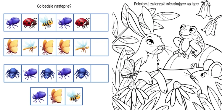 Wnętrze książki z zadaniami pt. Na łące przedstawiające zadania do wykonania