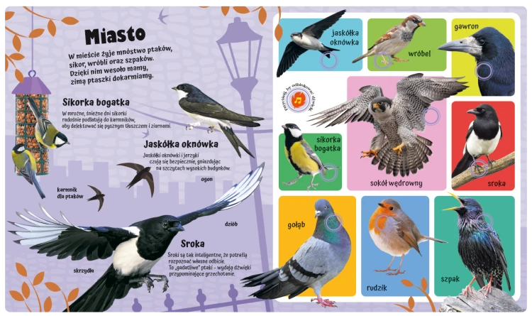 60-odlos-ptak2.png