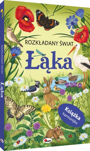 Okładka 3D książki w formie harmonijki pt. Rozkładany świat. Łąka przedstawiająca zwierzęta i kwiaty występujące na łące