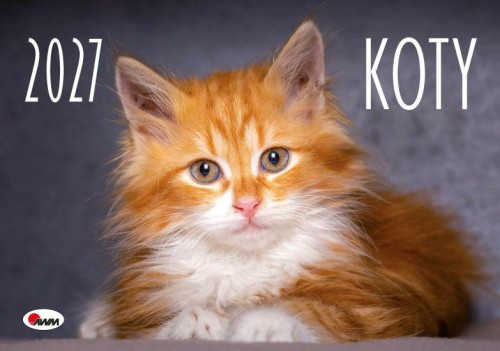 285x200 -2027kot_Strona_1.jpg