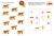 wesolegruby205x285srod13-14.jpg
