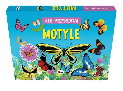 motyl-ik3d.png