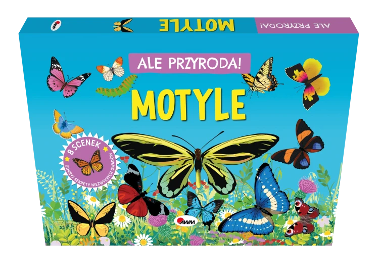 motyl-ik3d.png